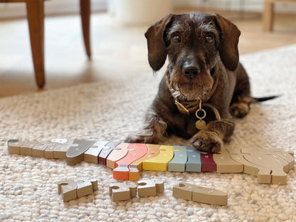 Buchstabenpuzzle Hund